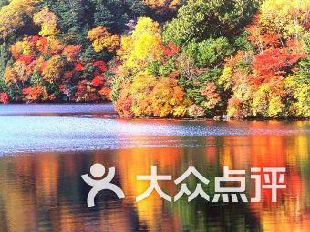 恶灵附身