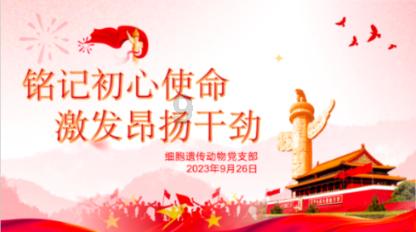 魔方世界